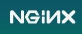 Having drawn $3 million in initial investment, Russian startup NGINX seeks to transform a popular open-source infrastructure platform into a profitable enterprise