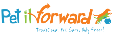 Q&A with Pet It Forward founder and CEO Jenna Dreher about building the Priceline for pet service providers