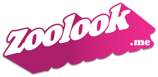 Featured Startup Pitch: Zoolook has jumped into the ultra-competitive style and fashion sector with its app that lets users create their own ‘lookbooks’