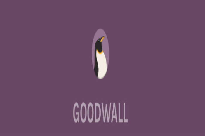 Lightning pitch: Introducing Goodwall, the networking site for teens