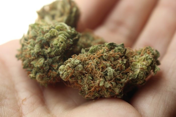 Following legalization, high-profile Canadian marijuana startup goes public