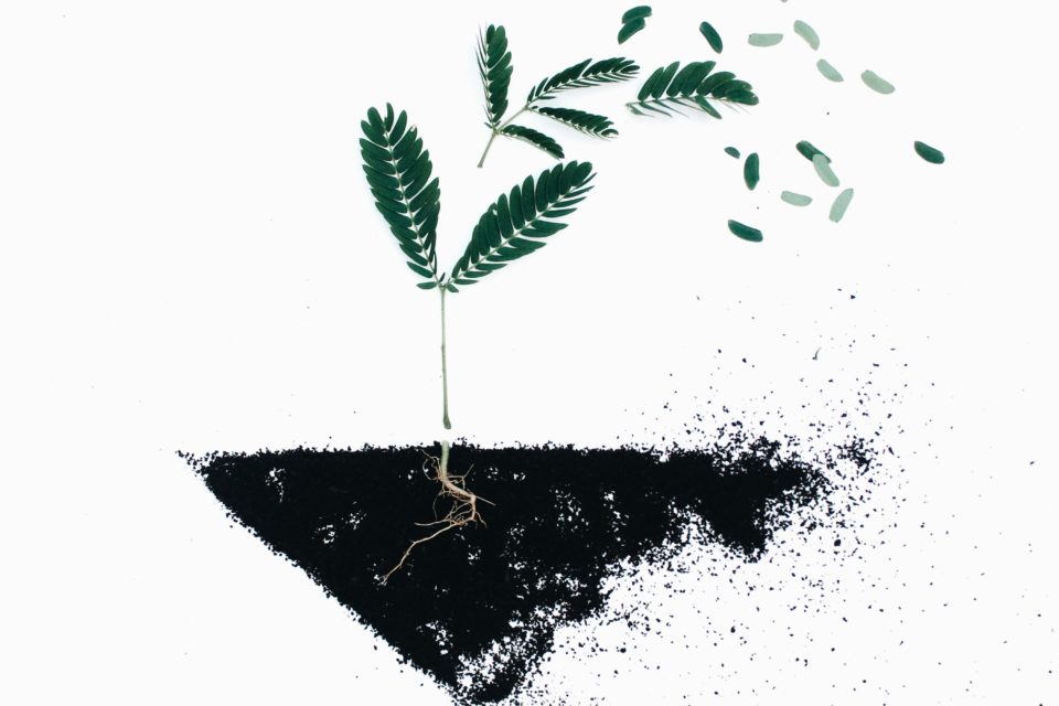 Cemvita factory received equity investment from BHP